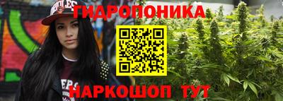 индика Пенза