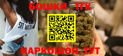 индика Пенза