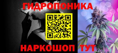 индика Пенза