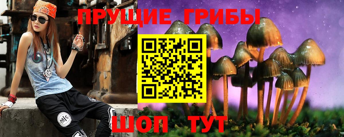 Сызрань  Псилоцибиновые грибы мицелий  купить наркотик  Вход с VPN  Псилоцибиновые грибы мухоморы 